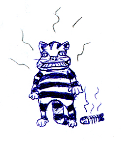 kater
